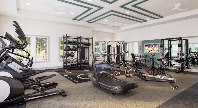 selene tomoka gym workout equipment ellipticals free weights large windows mirrors