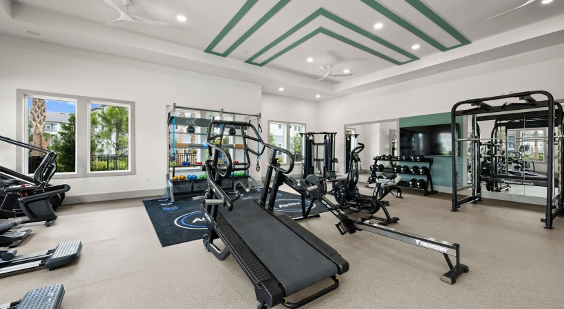 selene tomoka gym workout equipment ellipticals free weights large windows mirrors